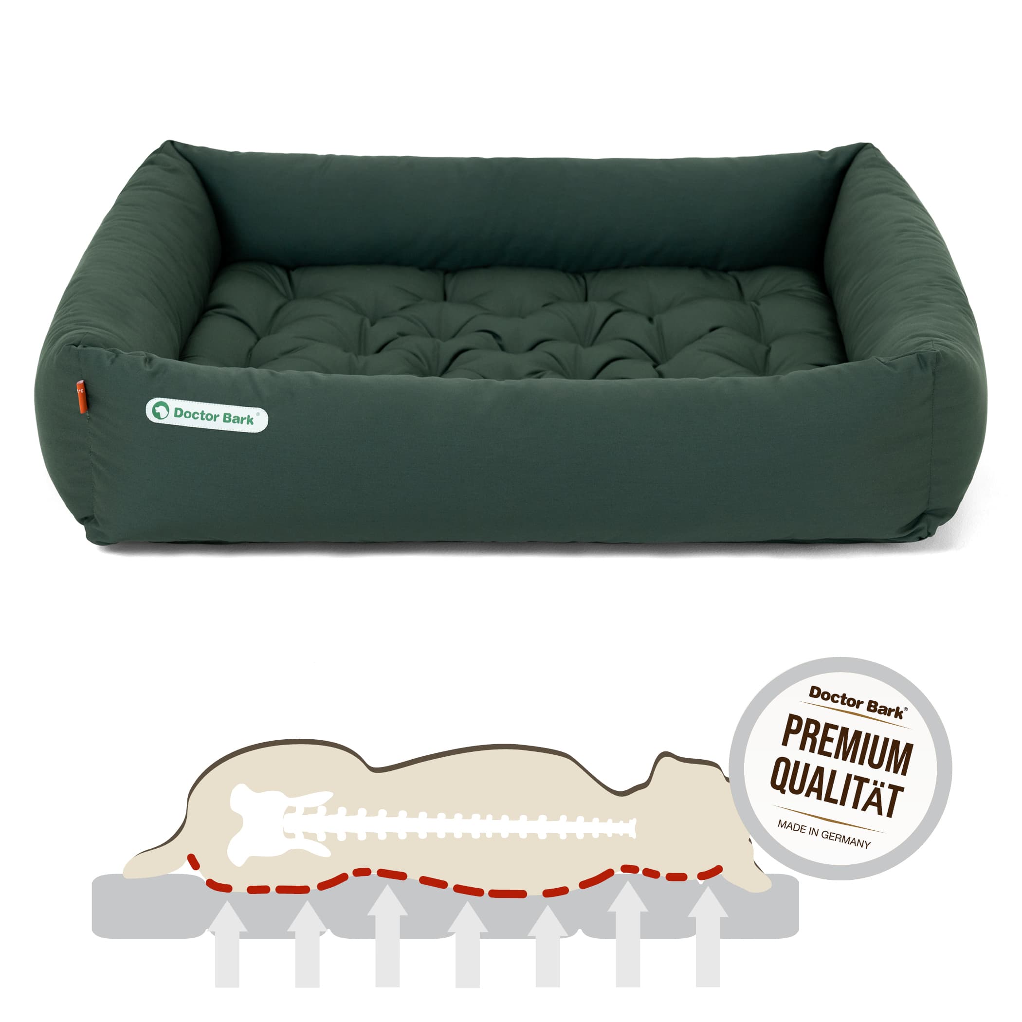 Orthopädisches Hundebett | Grün | XL