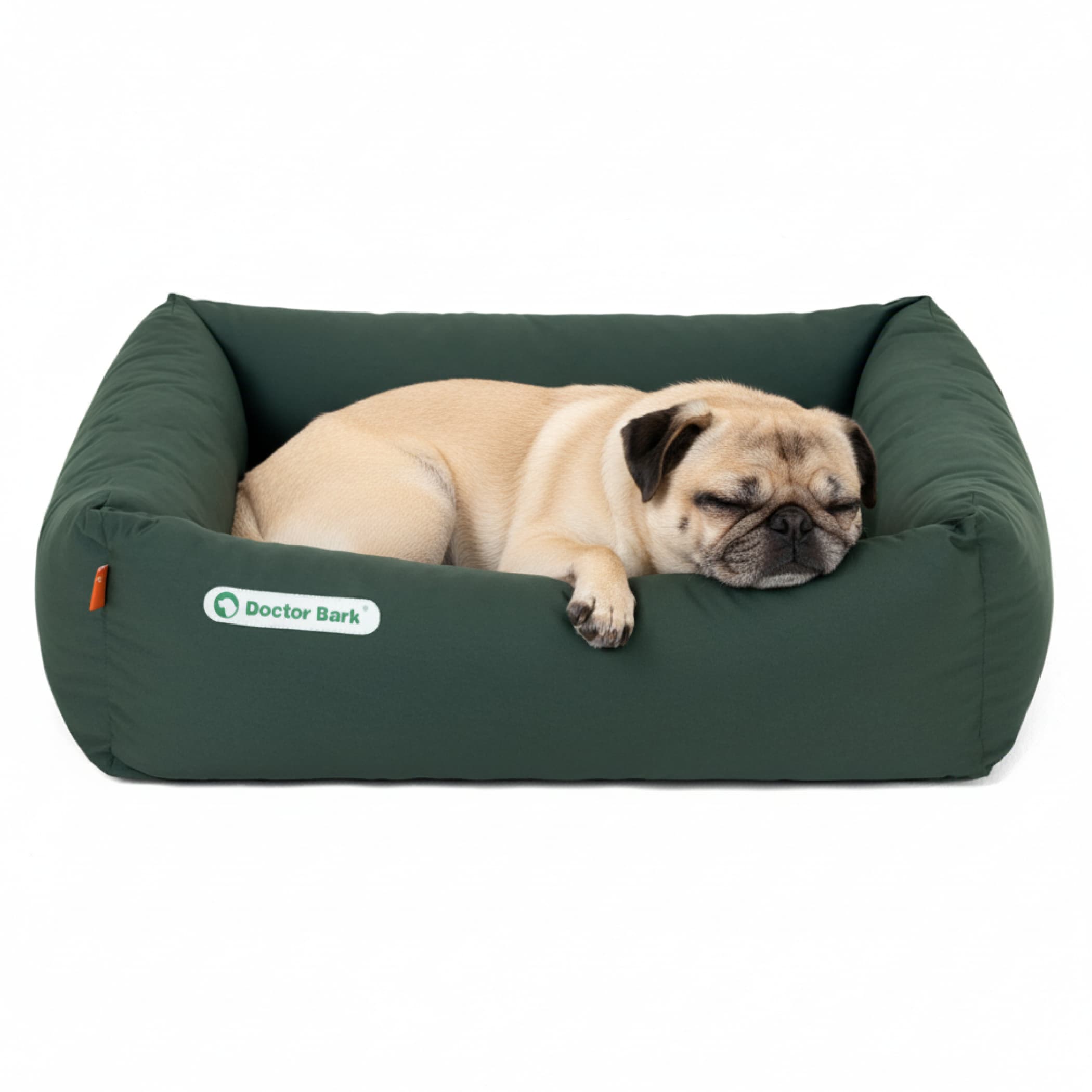 Orthopädisches Hundebett | Grün | S