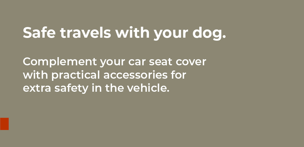 Doctor Bark – safe travels with your dog: accessories for extra safety in the vehicle