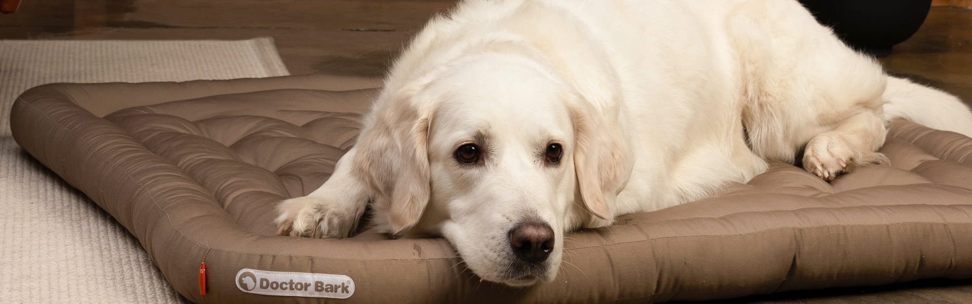 Dog on a Doctor Bark Red Label orthopaedic Lounge cushion with supportive padding