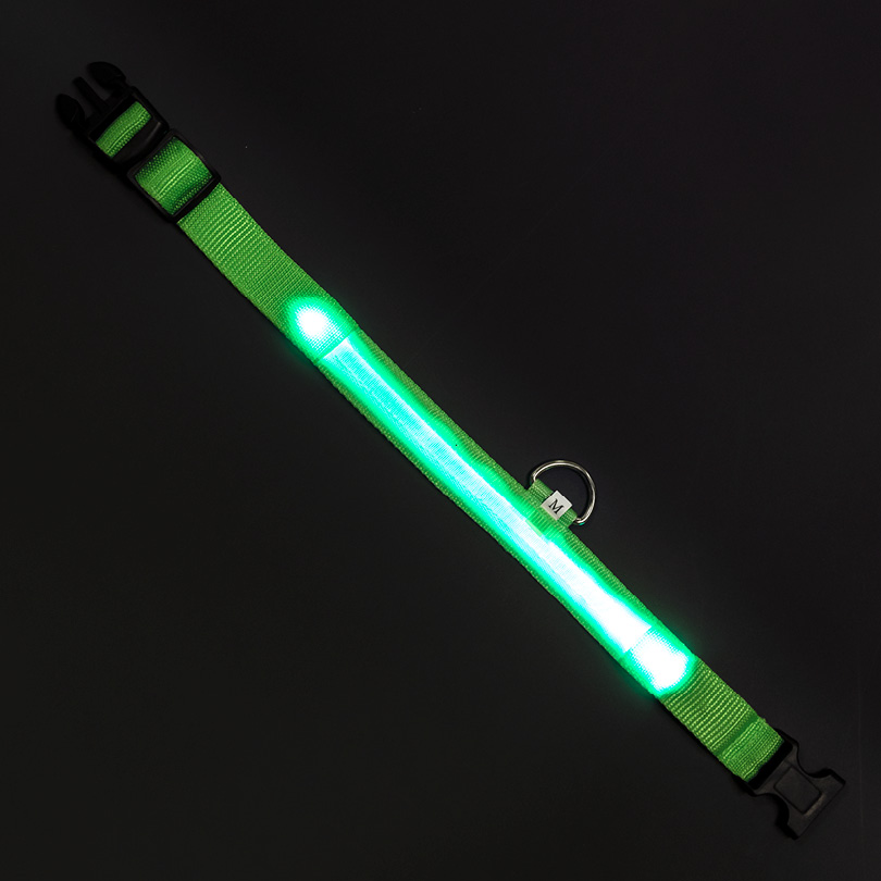 Leuchthalsband M grün