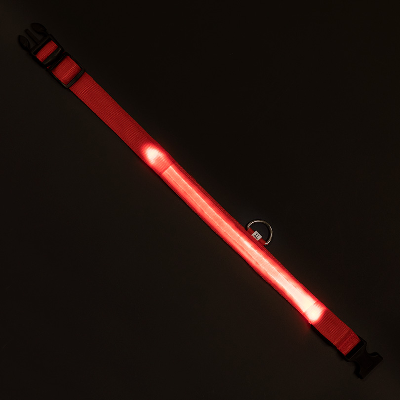 Leuchthalsband XL rot
