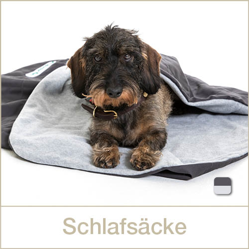 Doctor Bark Kofferraumschutz für Hunde mit Ladekantenschutz, waschbar &  geruchsfrei, komfortabler All-Side Schutz (Gr. L - 100x100 cm, Grau)