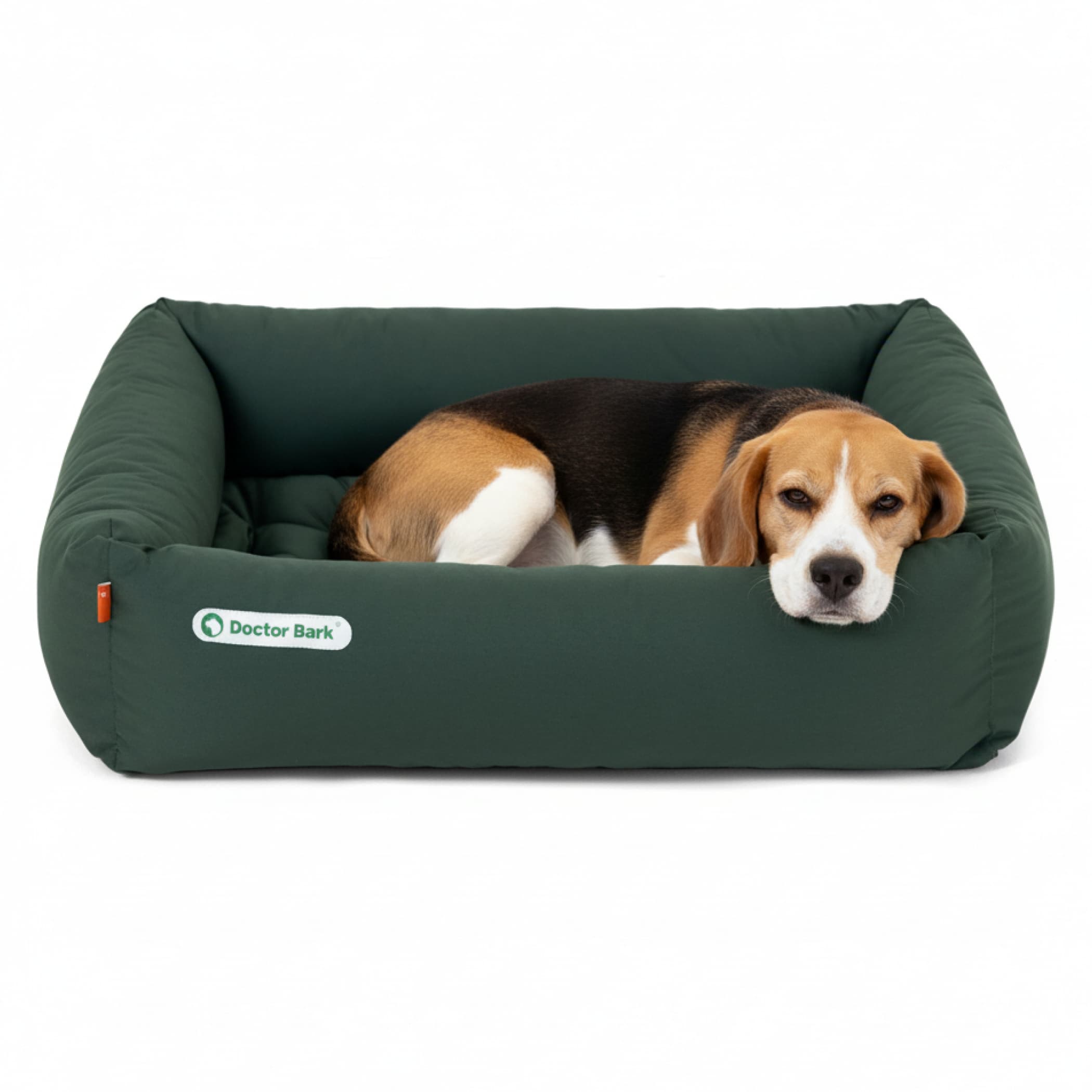 Orthopädisches Hundebett | Grün | M