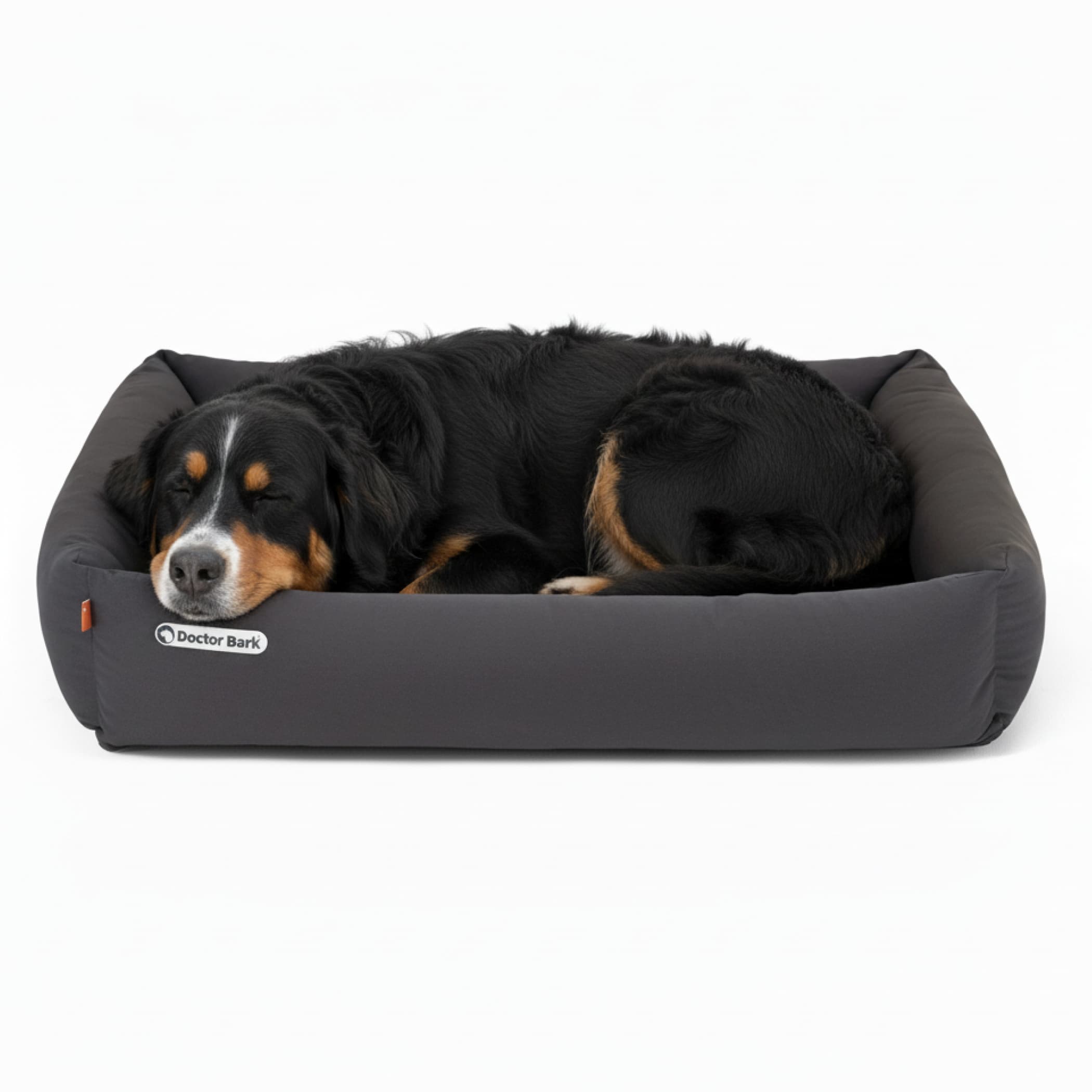 Orthopädisches Hundebett | Grau | XXL