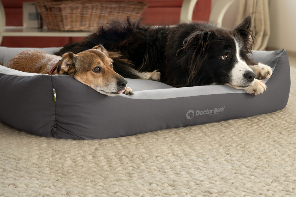 Doctor Bark soft & comfortable rectangular dog bed in grey – two dogs lying together on the light grey fleece lining