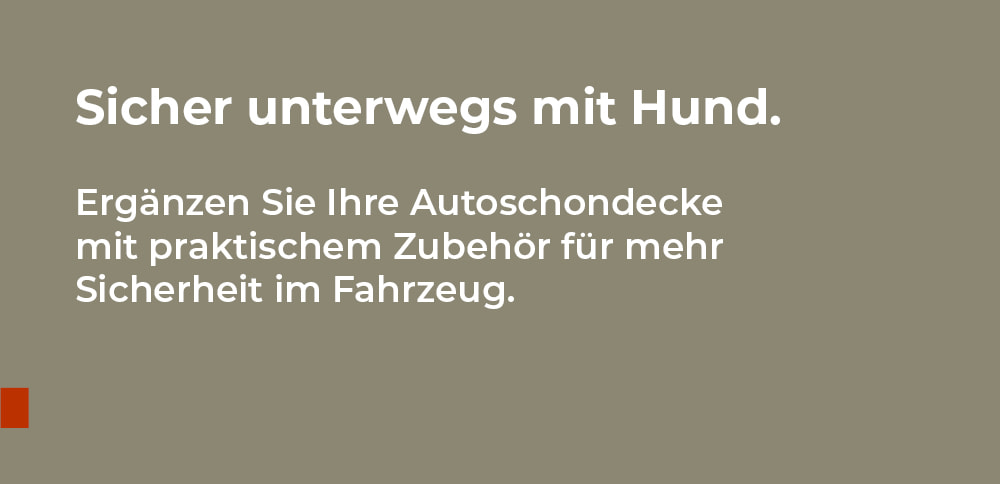 Doctor Bark – Sicher unterwegs mit Hund: Zubehör für mehr Sicherheit im Fahrzeug