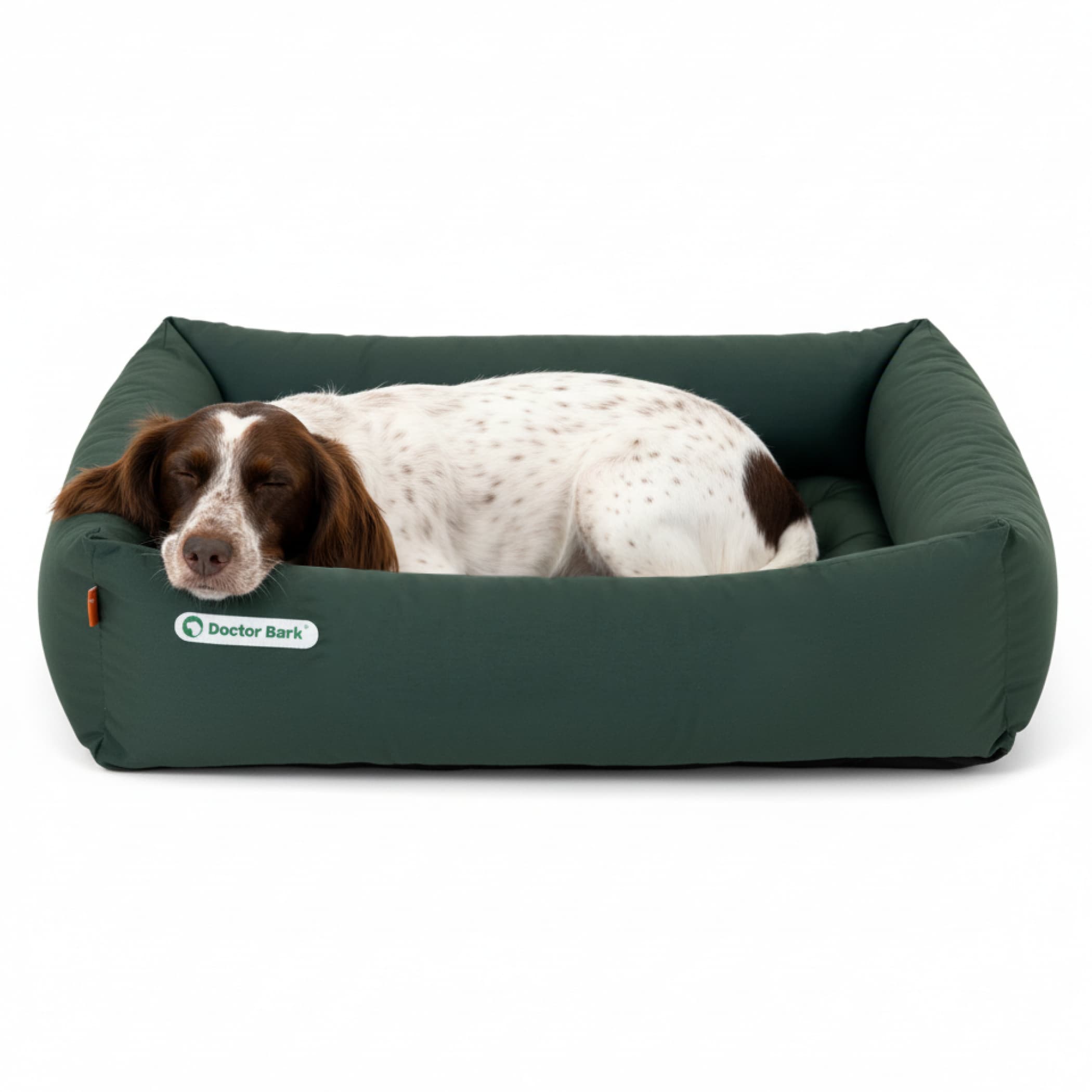 Orthopädisches Hundebett | Grün | L