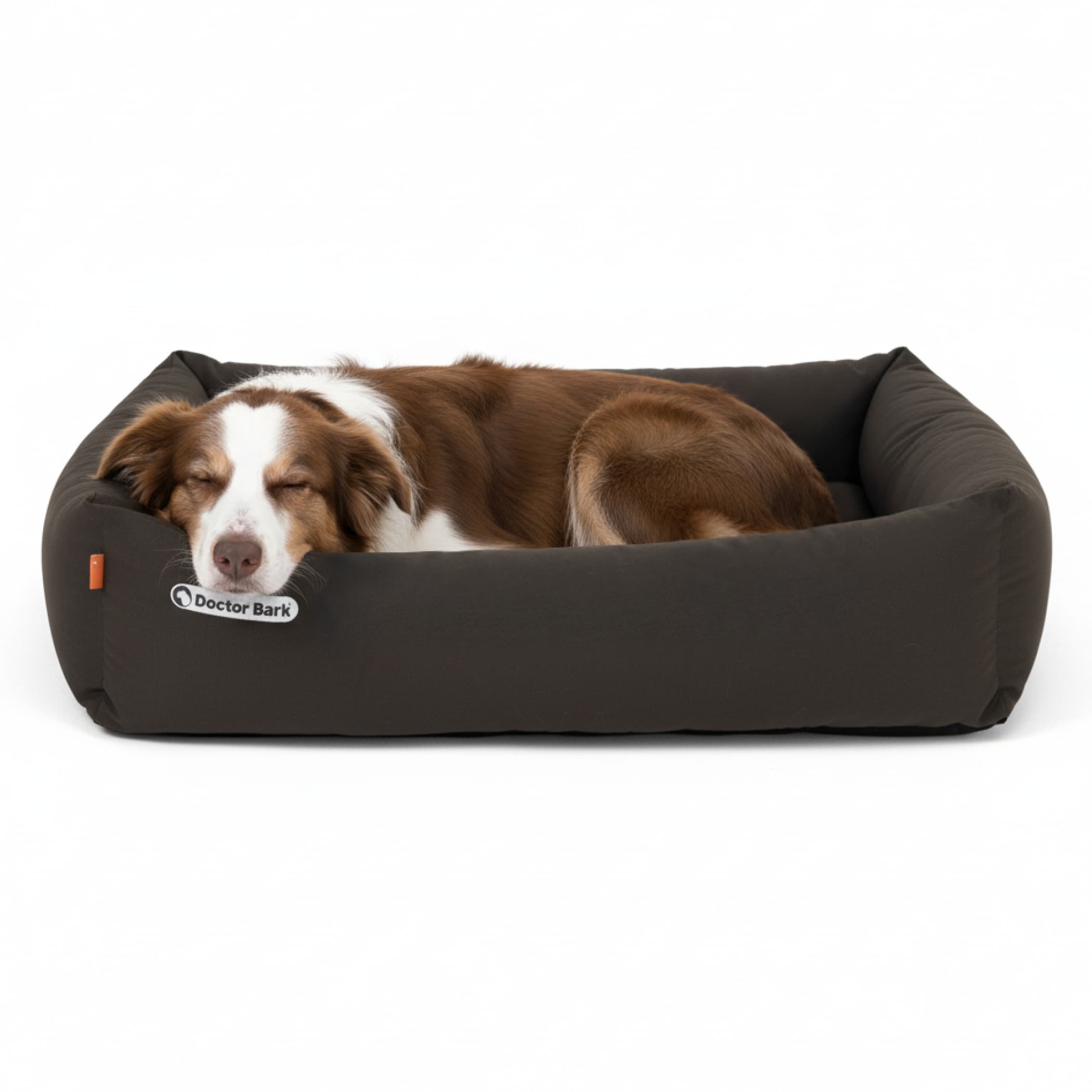 Orthopädisches Hundebett | Braun | L