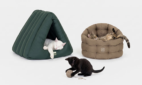 4CATS