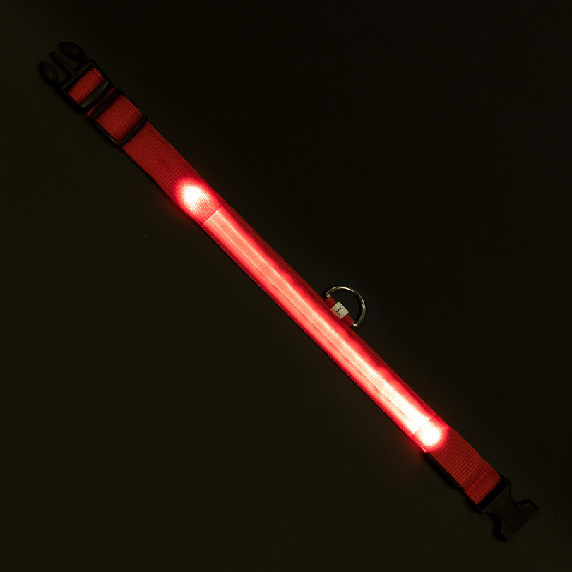Leuchthalsband L rot