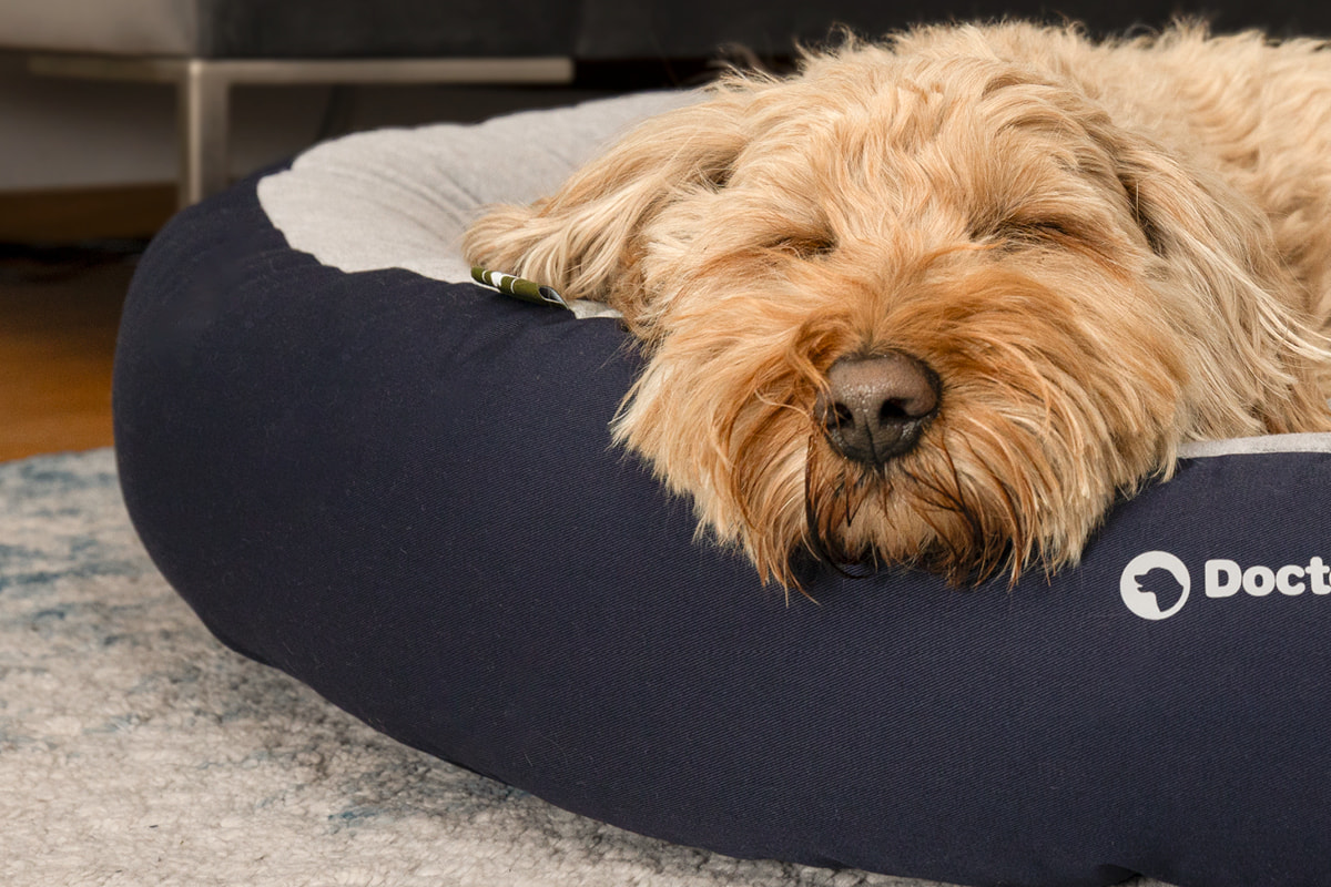 Doctor Bark soft & comfortable round dog nest in blue – doodle sleeping on the fleece reversible cushion