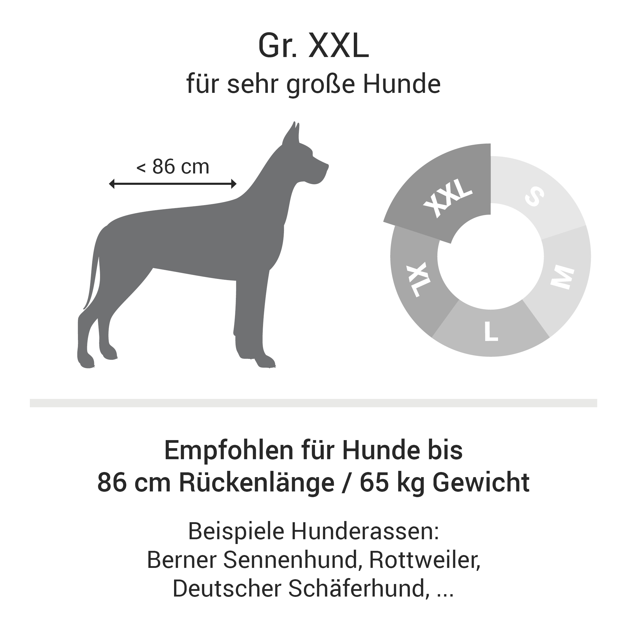 Orthopädisches Hundebett | Grün | XXL