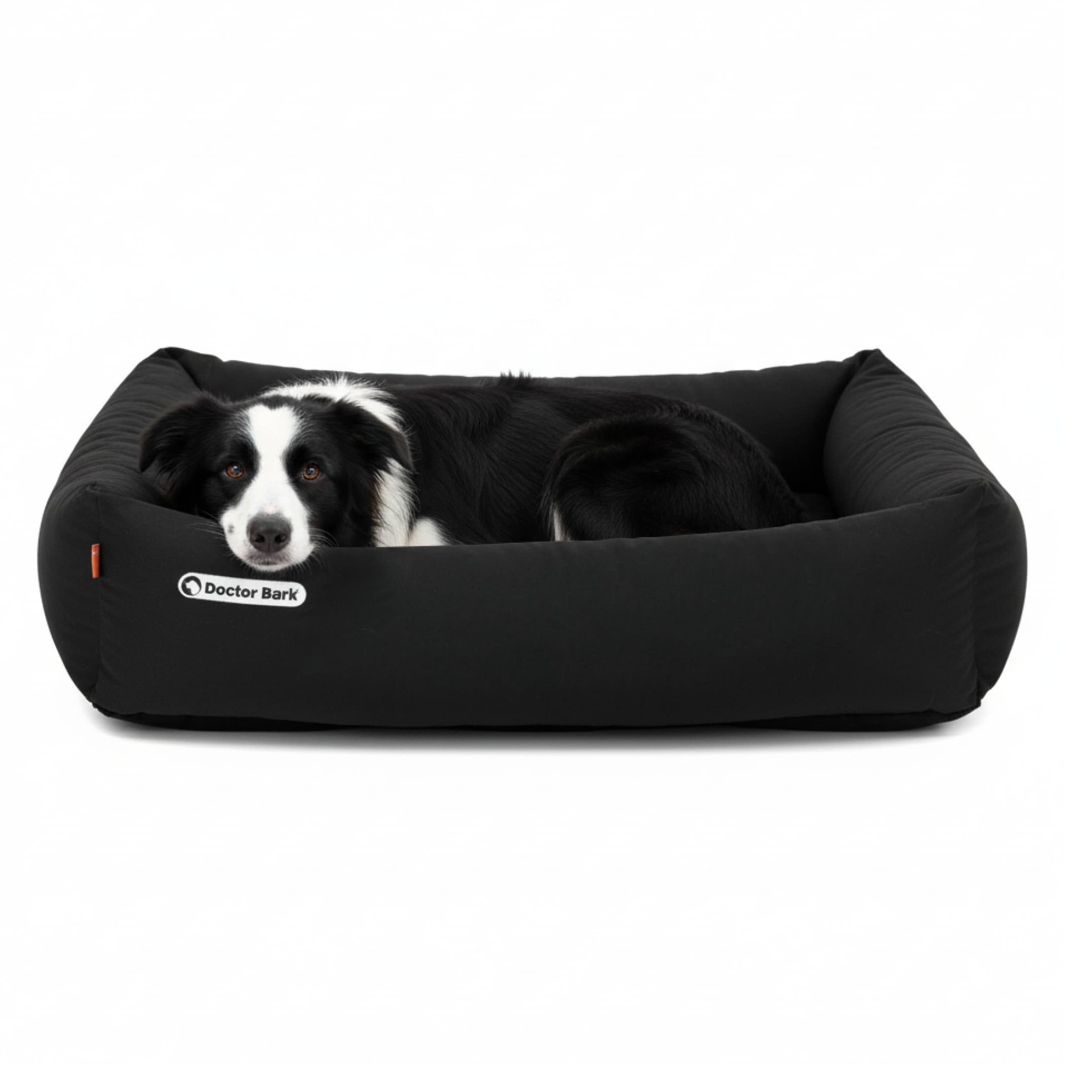 Orthopädisches Hundebett | Schwarz | L