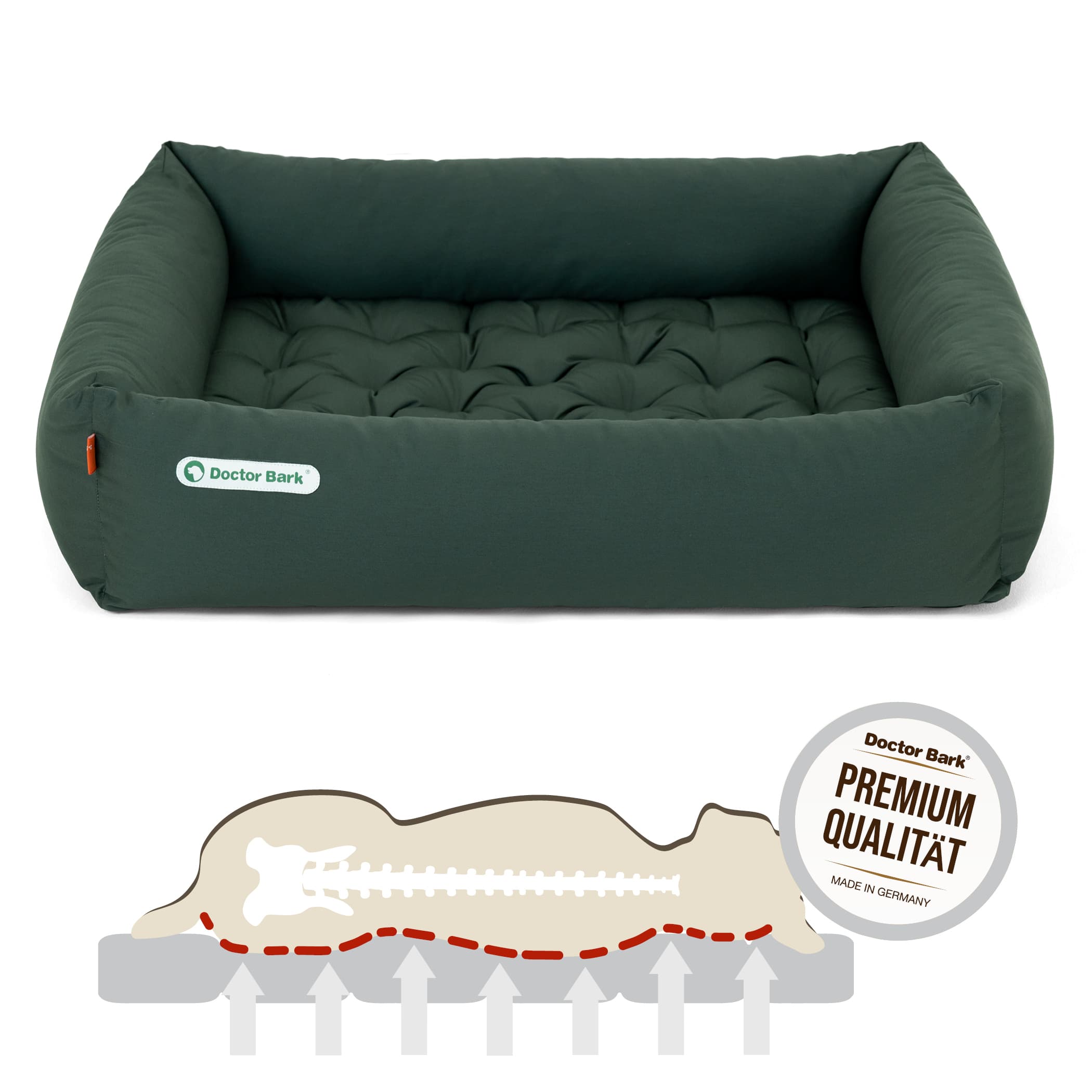 Orthopädisches Hundebett | Grün | L