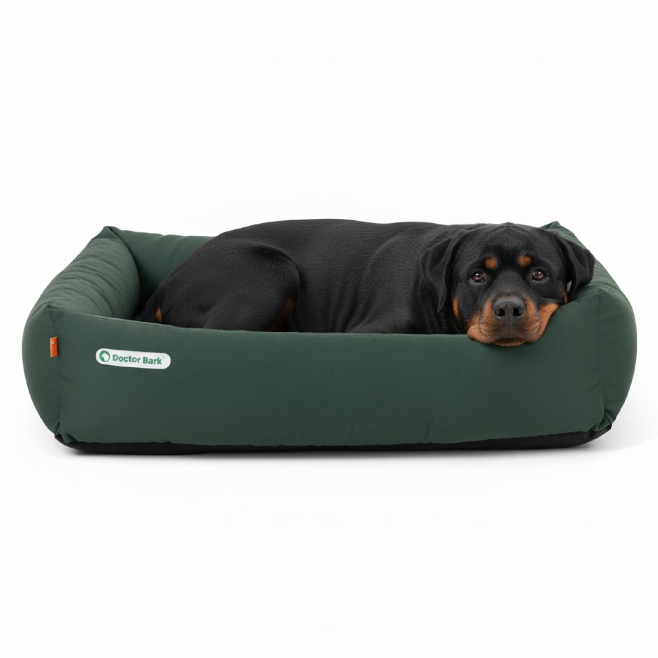 Orthopädisches Hundebett | Grün | XXL