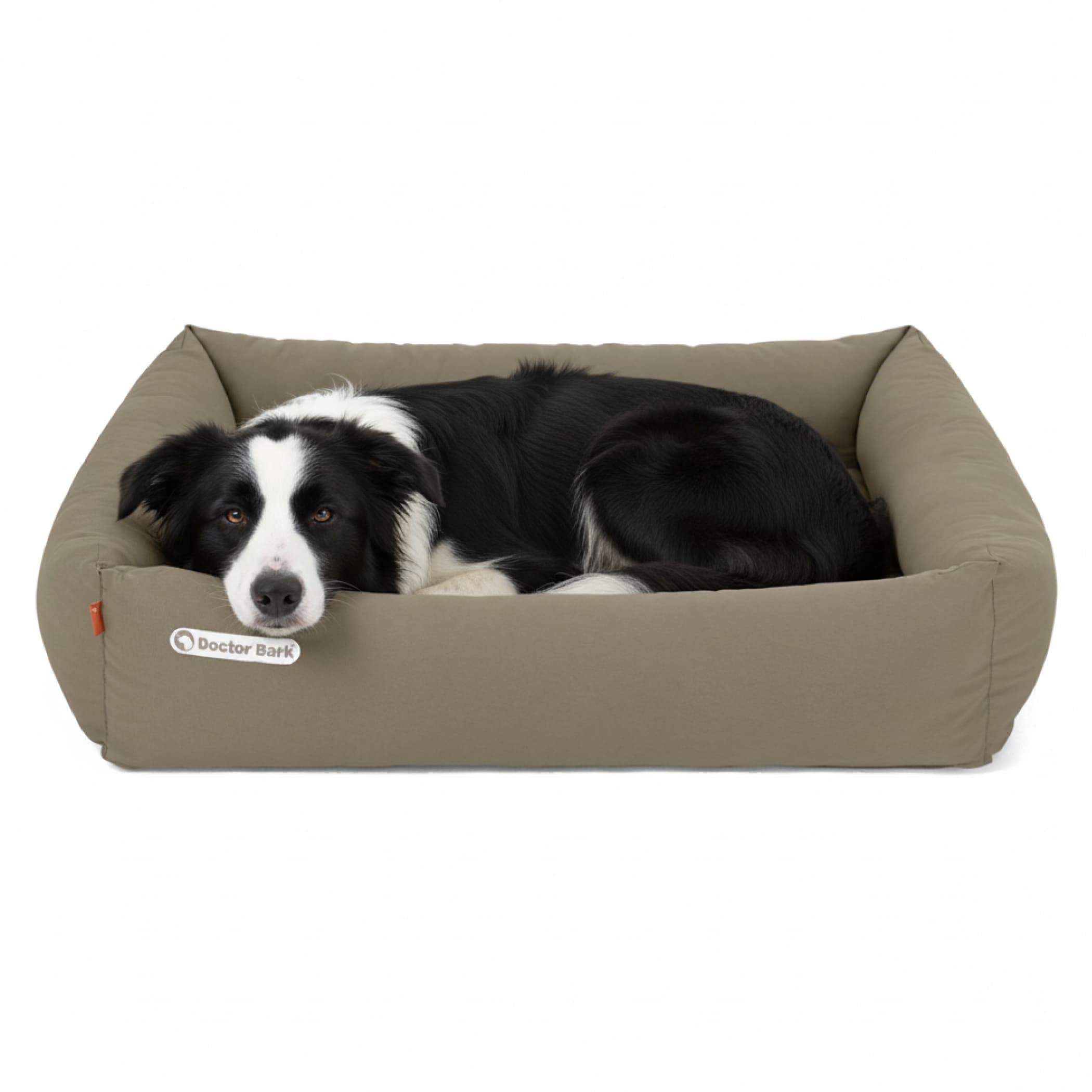Orthopädisches Hundebett | Goldbraun | L