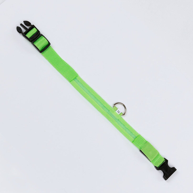 GRATIS - Leuchthalsband M (40-48 cm) Grün