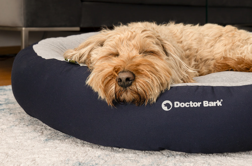 Dog in a soft & comfortable Doctor Bark Green Label dog nest with cosy fleece and high sides