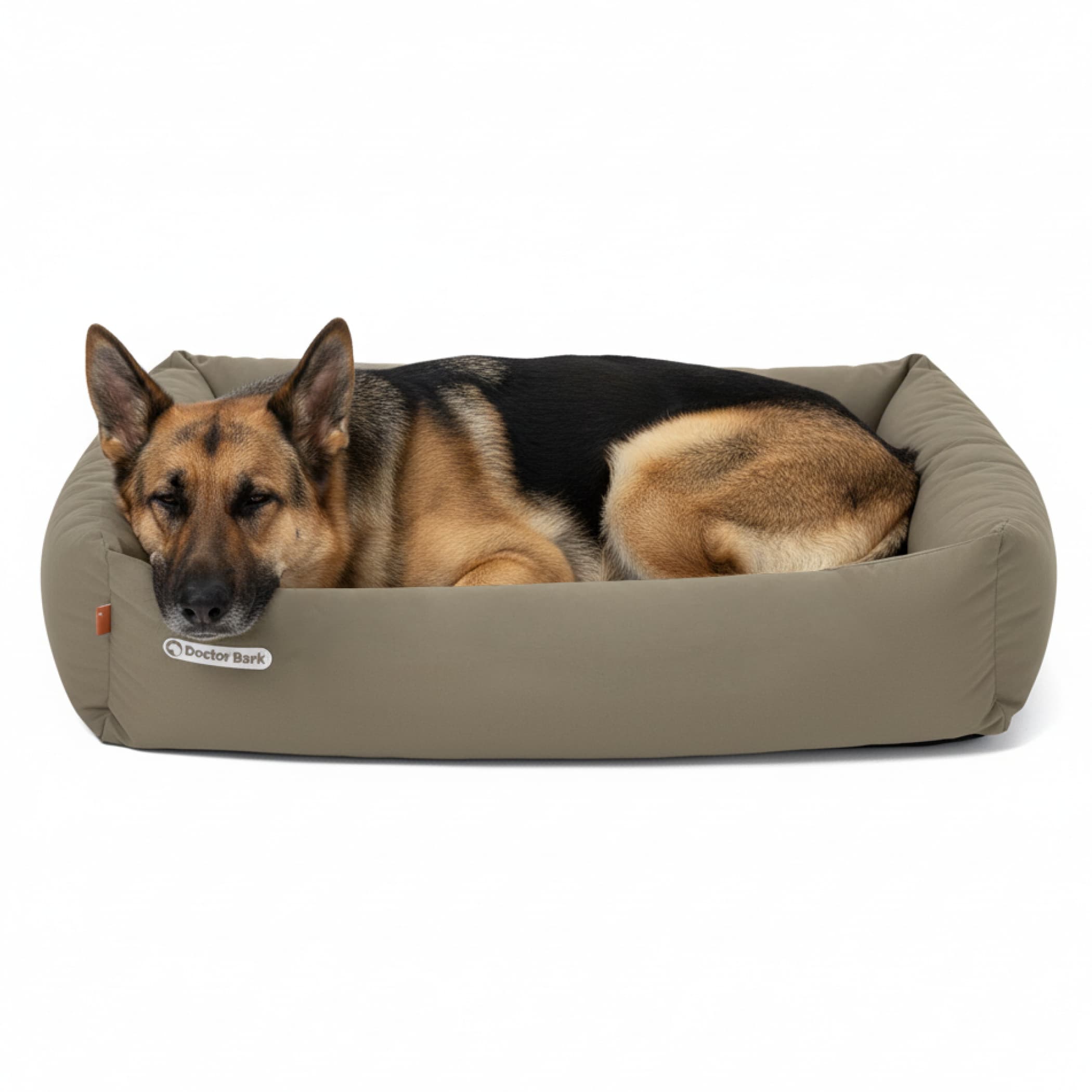 Orthopädisches Hundebett | Goldbraun | XXL