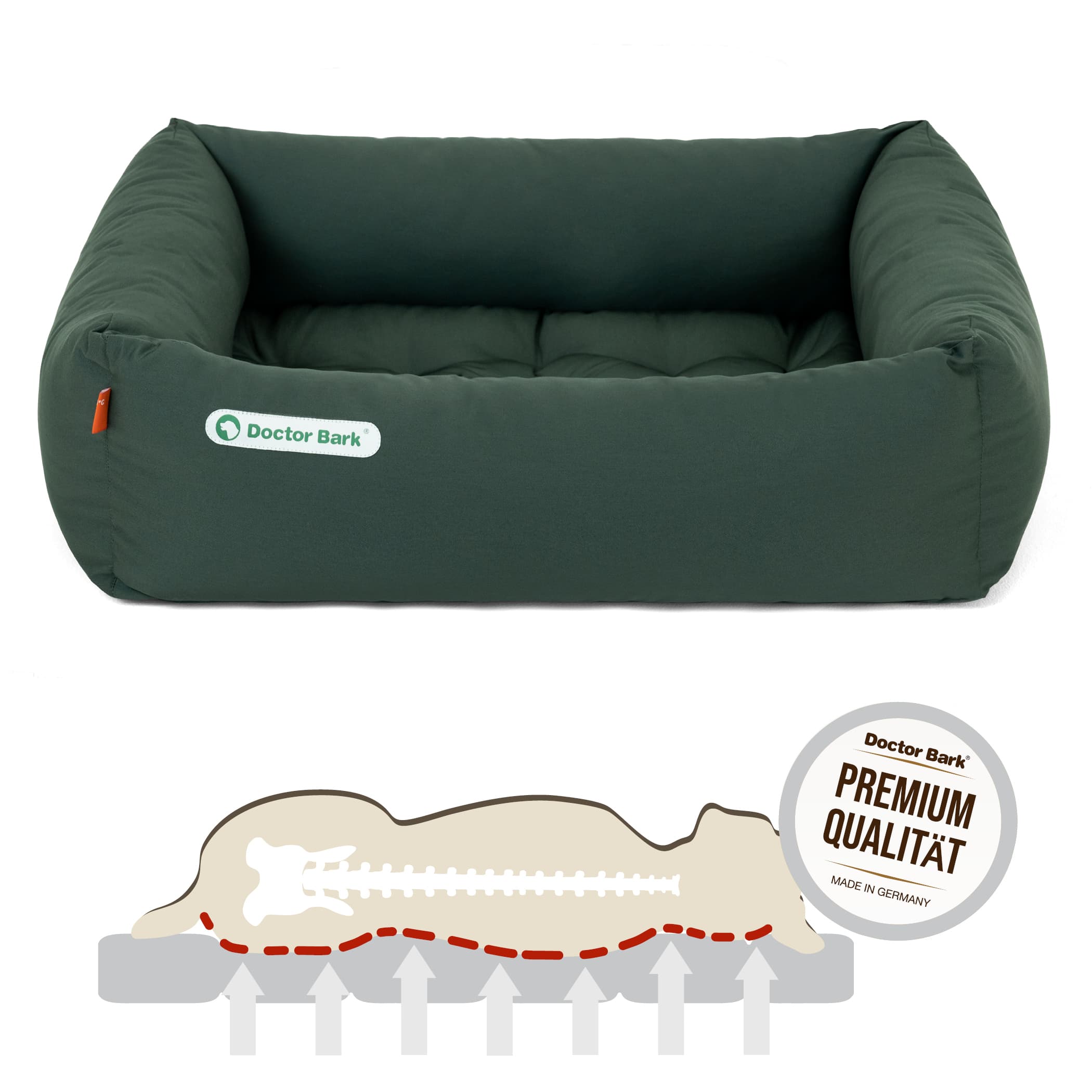 Orthopädisches Hundebett | Grün | S
