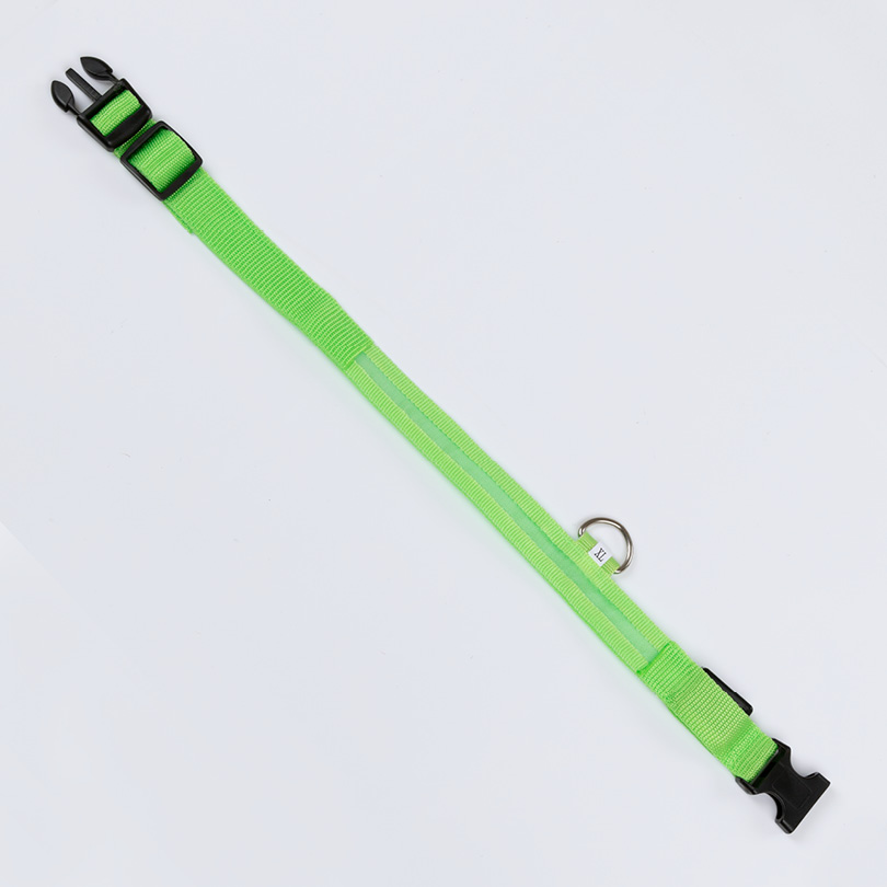 GRATIS - Leuchthalsband XL (52-60 cm) Grün