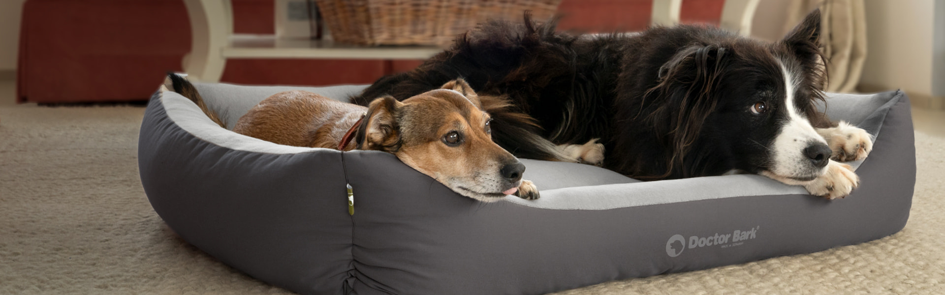 Doctor Bark soft & comfortable rectangular dog bed in grey – two dogs lying together on the light grey fleece lining