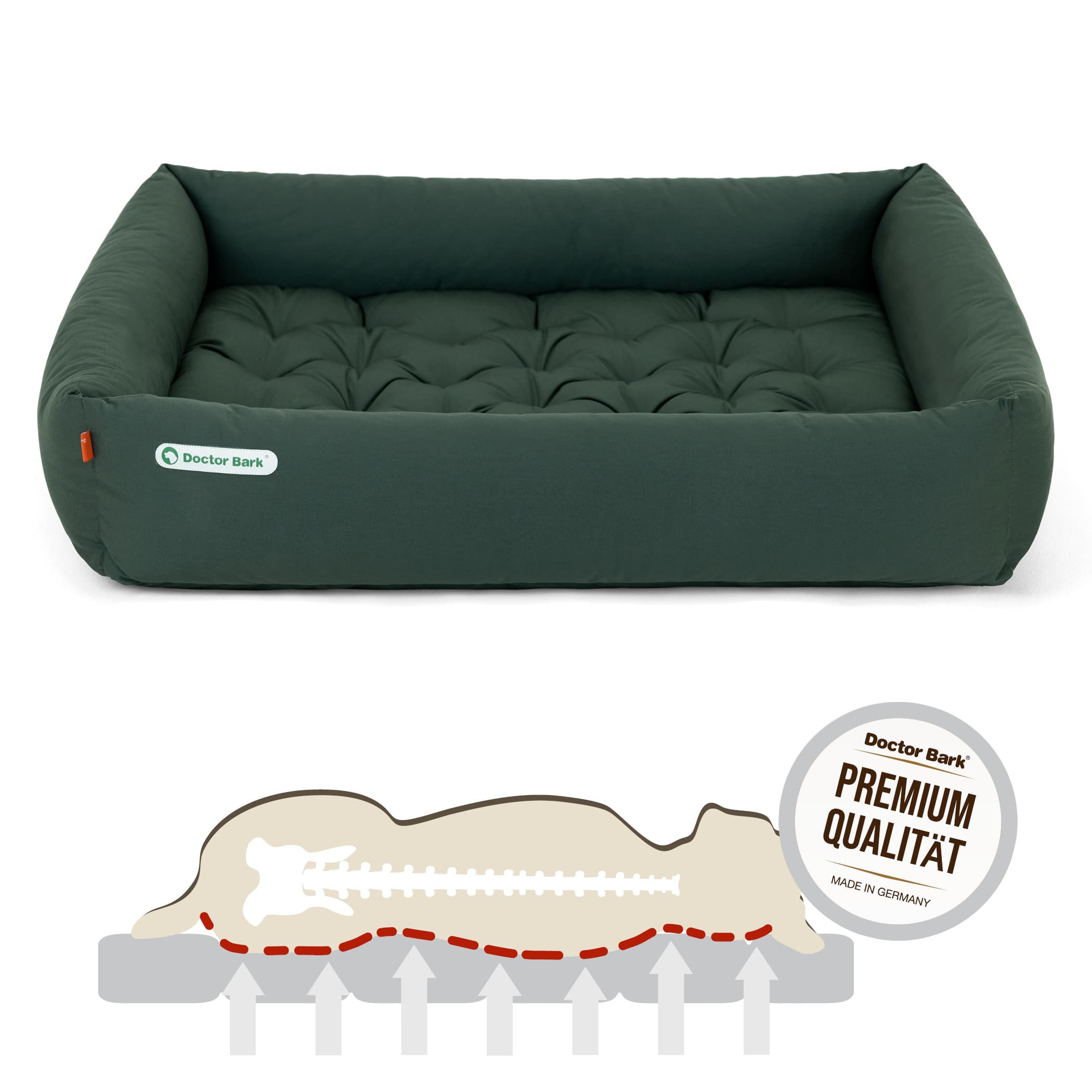 Orthopädisches Hundebett | Grün | XXL