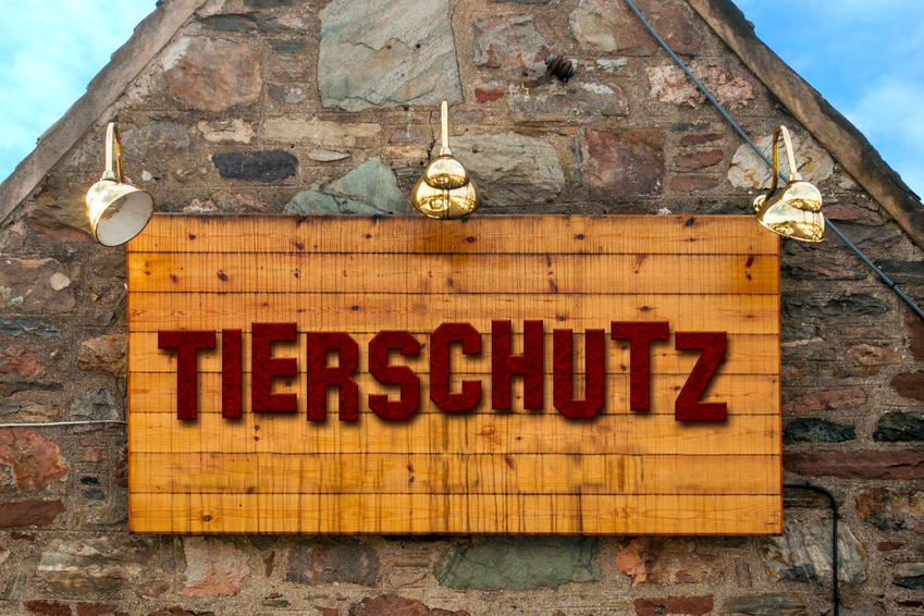 Welttierschutztag
